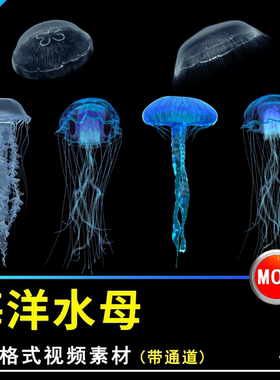 浪漫唯美海洋蓝色水母mov带透明通道海底生物特效视频剪辑素材