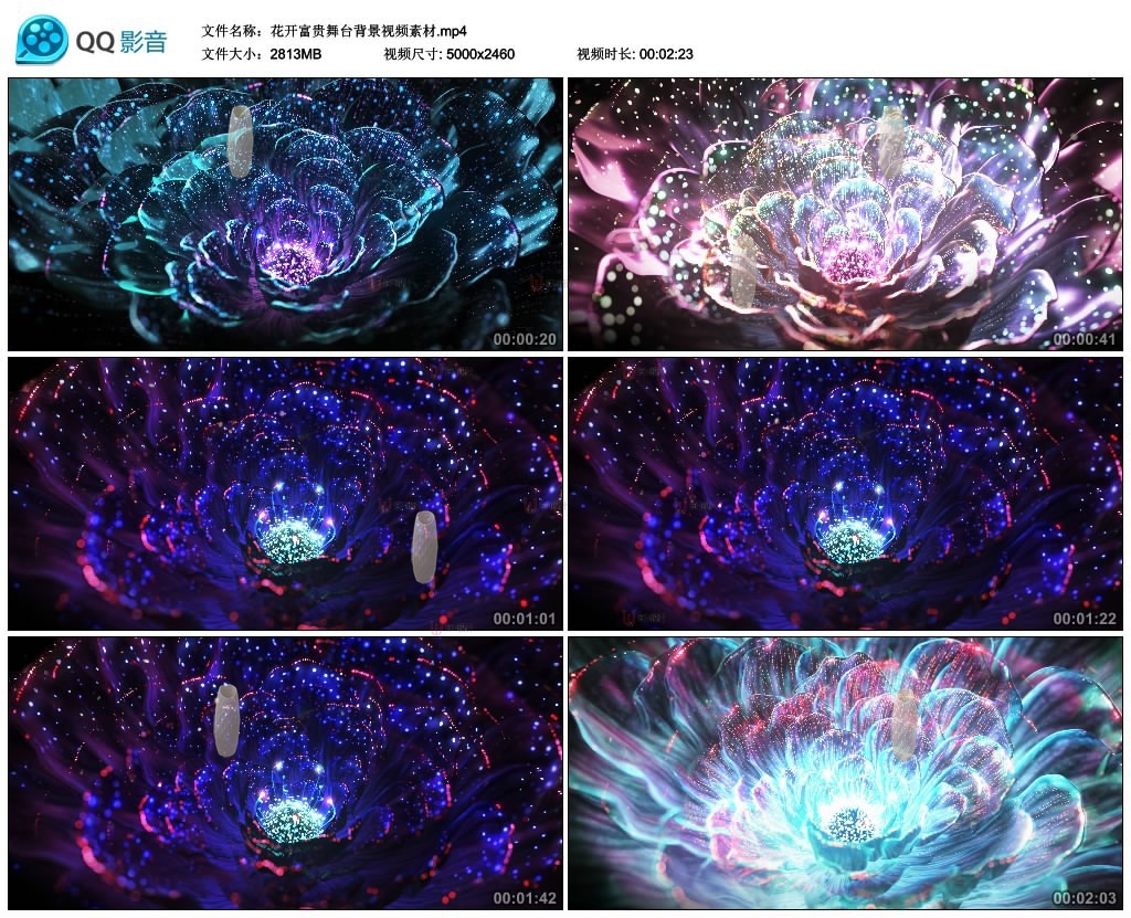 花开富贵霓虹唯美花瓣LED背景视频花绽放全息粒子舞台大屏幕素材