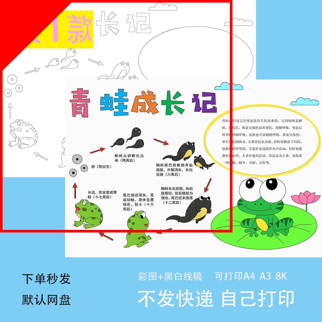 可打印青蛙成长记手抄报模板动物生长记录小学生自然观察日记笔记