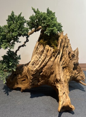 莫山堂枯木盆景根艺花盆创意花器