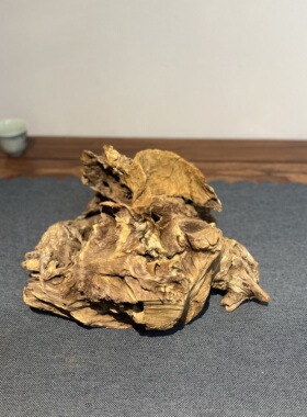 侘寂风枯木风化木摆件造景木