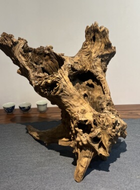 枯木逢春风化木木头树根根艺花盆