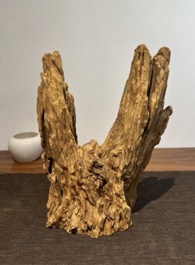 莫山堂老枯木风化木盆景多肉文竹绿植花盆盆栽创意装饰艺术品