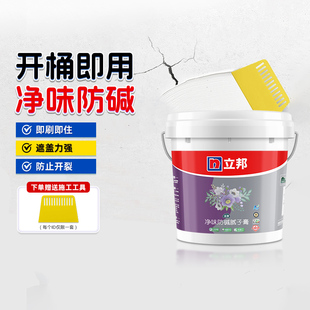 立邦云净净味防碱腻子膏补墙膏墙面修补膏腻子粉家用墙壁修复白色