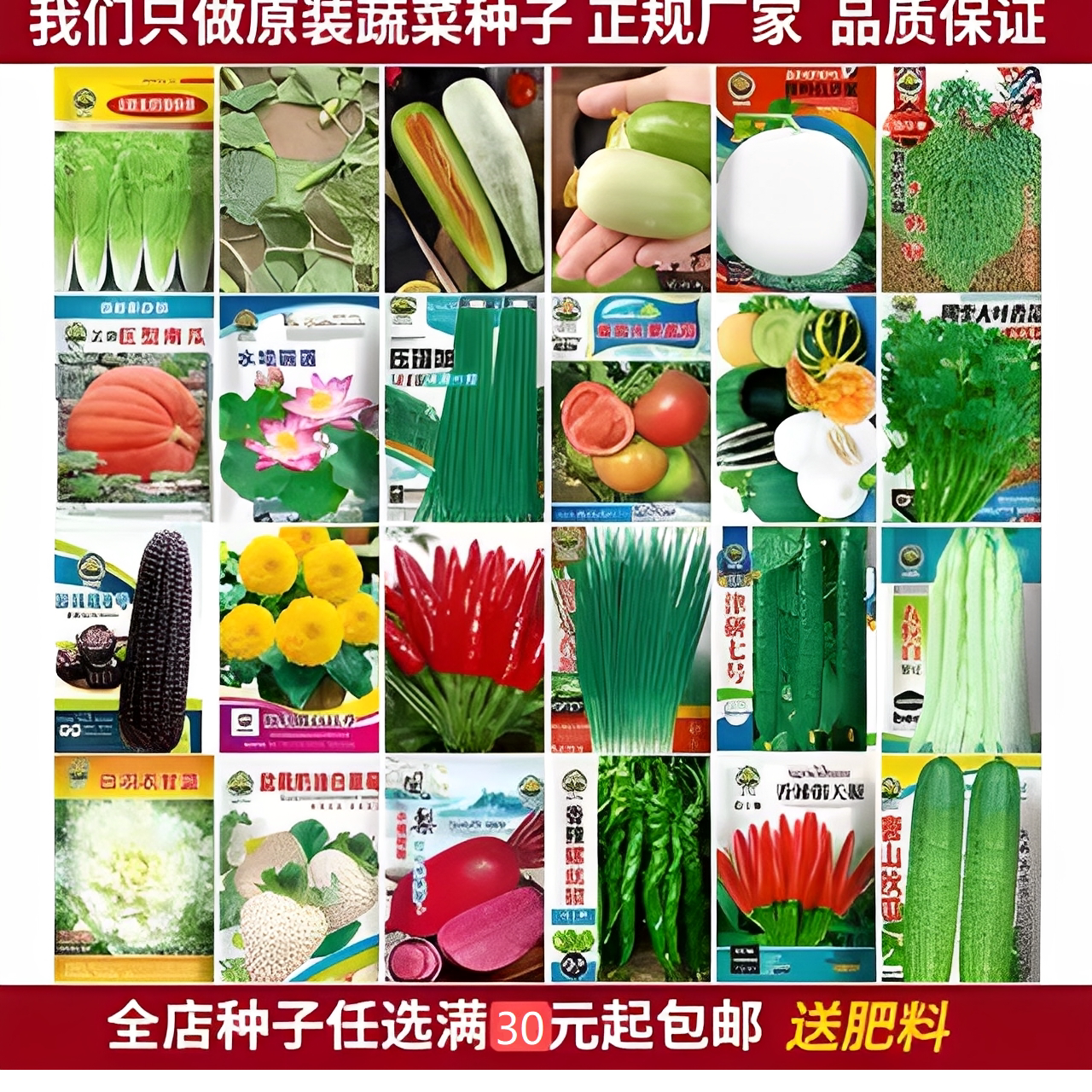 蔬菜种子大全小菜种子各种各样四季种子小葱蔬菜种子组合装耐热图片