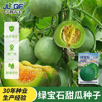 绿宝石甜瓜种子超甜薄皮