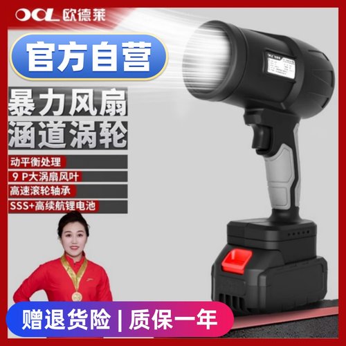 欧德莱鼓风机大功率涡轮扇暴风机