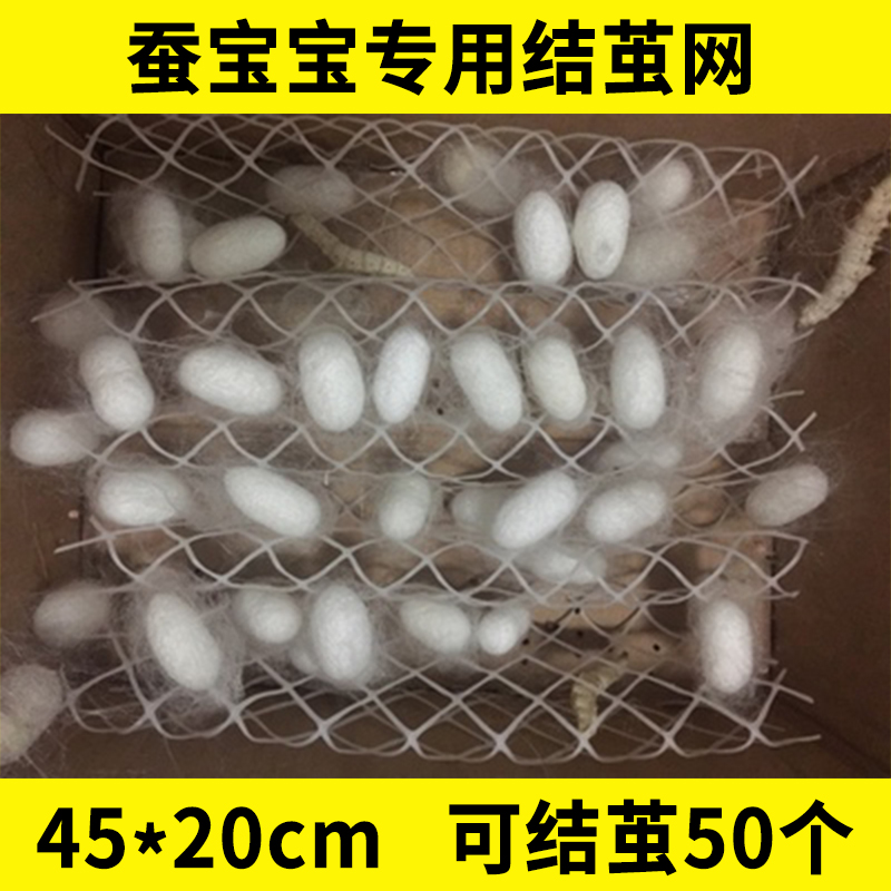 蚕茧架蚕宝宝专用吐丝结茧网蚕子蚕虫提蚕网小网片养蚕工具饲养盒-封面