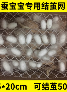 蚕茧架蚕宝宝专用吐丝结茧网蚕子蚕虫提蚕网小网片养蚕工具饲养盒