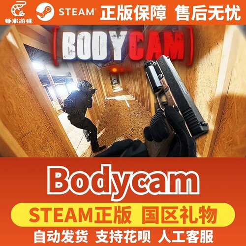 steam游戏Bodyc成品号虚