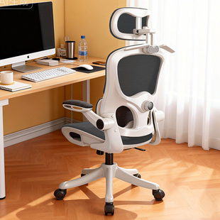 人体工学椅护腰电脑椅家用办公椅子舒适久坐学生学习椅宿舍电竞椅