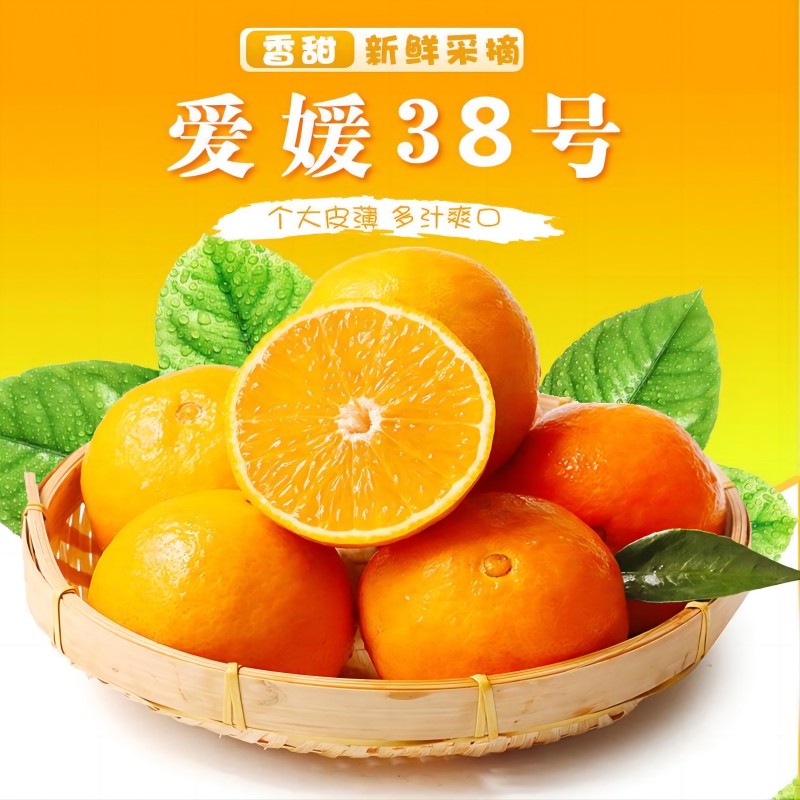四川爱媛38号果冻橙当季手剥橙子