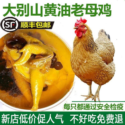 散养新鲜现杀月子鸡土鸡老母鸡