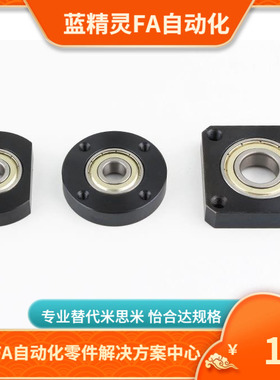 轴承座 BFF41 BFF42 BFF43 BFF44 BFF46-ZZ VV DD 带座轴承