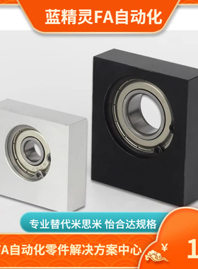 带座轴承 BGU01/BGU02/BGU03/BGU04/BGU06-ZZ VV DD-ZZ VV DD-h