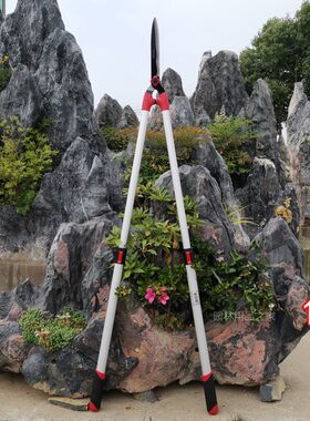 佐川吉加长伸缩绿篱剪果树剪刀修剪树枝园林N修枝剪园艺剪长1.5米