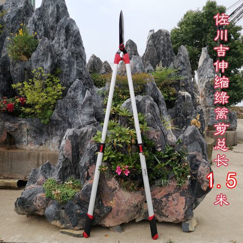 佐川吉加长伸缩绿篱剪果树剪刀修剪树枝园林N修枝剪园艺剪长1.5米