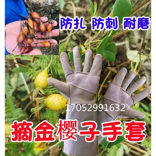 摘金樱子手套采摘工具防扎专用防针刺手摘过耐磨农业农林
