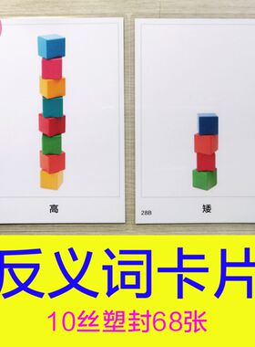 反义词卡片 自闭症儿童语言训y练卡认知教具配对相对词孤独症康复