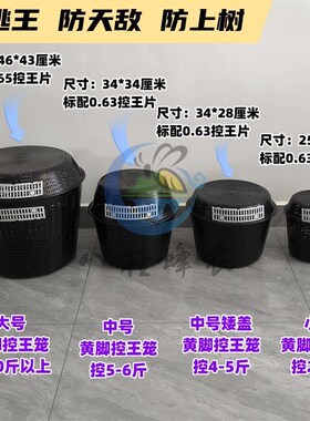 黄脚胡蜂控王笼大中小号齐全 葫B芦蜂防逃王笼 马蜂野化放养防上