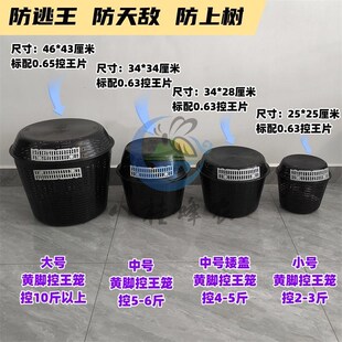 黄脚胡蜂控王笼大中小号齐全 葫B芦蜂防逃王笼 马蜂野化放养防上
