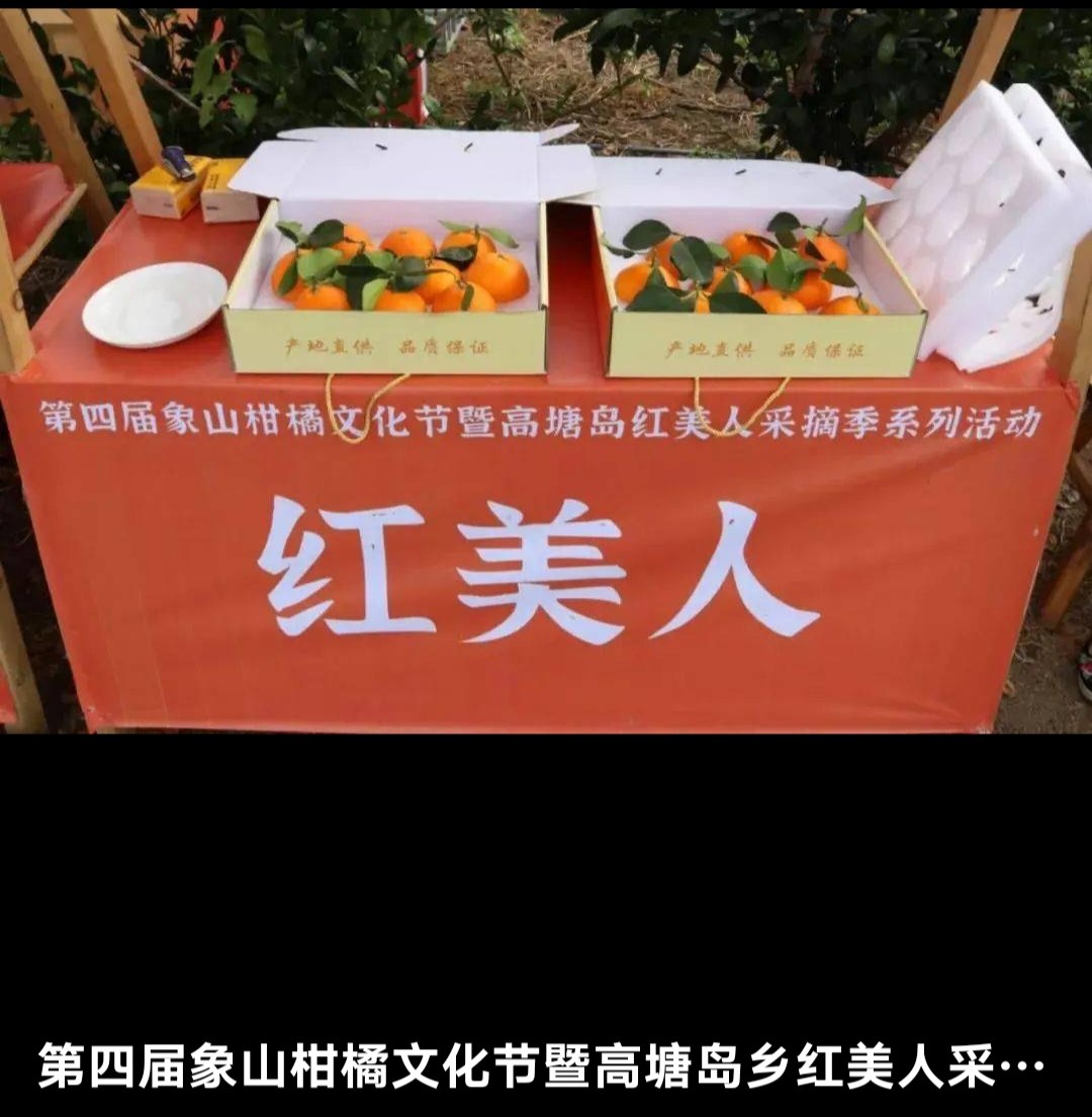 正宗象山红美人爱媛28号新鲜果冻橙橘子至尊礼盒顺丰京东