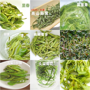 识山迹 信阳毛尖2025新茶正宗高山云雾绿茶浓香型茶叶试喝装4克