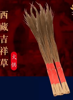 西藏天然吉祥草火供草康巴吉祥草火供吉祥草长一把30支寿茅草干花