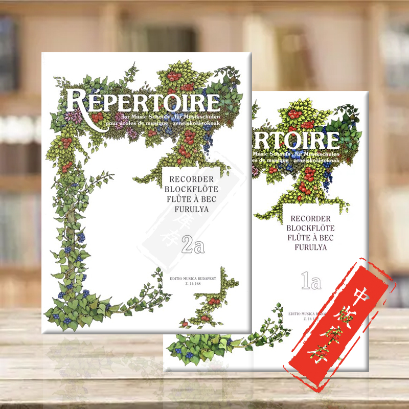 音乐学院曲目竖笛独奏