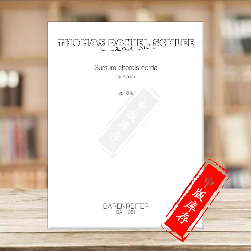 召唤心灵钢琴史雷Schlee