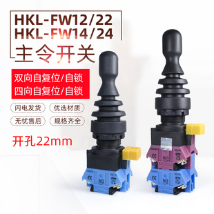 红开双向四向自复位自锁十字开关HKL 摇杆主令开关 FW22