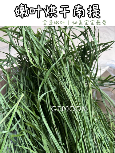 提摩西嫩叶南提幼兔最爱
