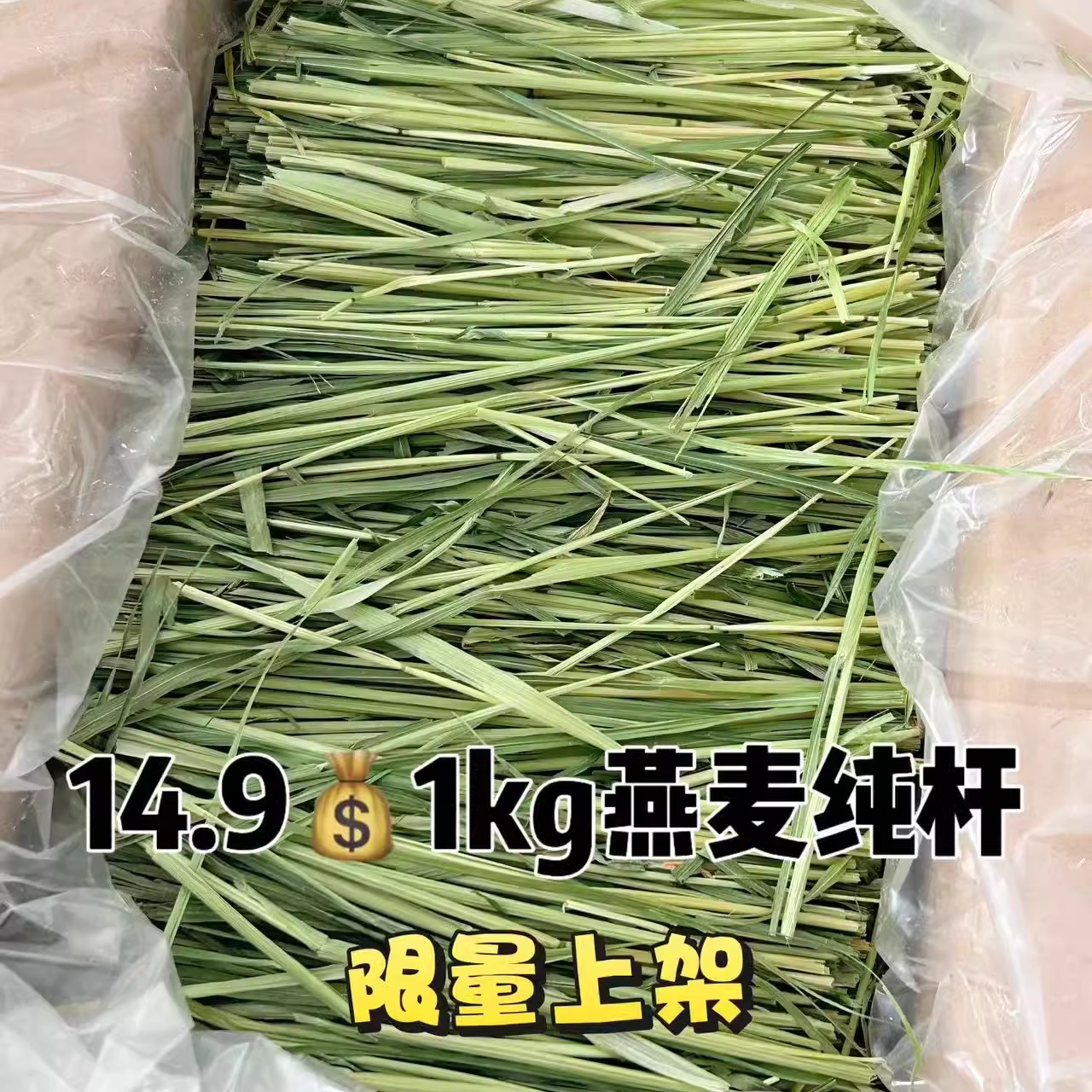 超高性价比烘干燕麦纯杆燕麦毛重1kg特价商品不售后不参与活动