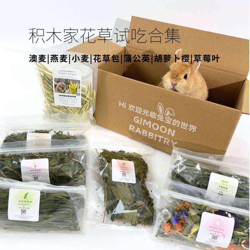 积木家本店试吃合集澳麦蒲公英胡萝卜樱菊苣燕麦小麦草莓叶花草包