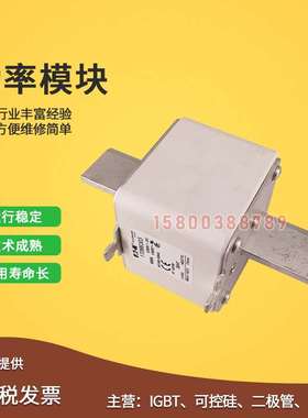 快速熔断器保险丝170M6338/6339/6340/6341/6342/6343/6344/6345