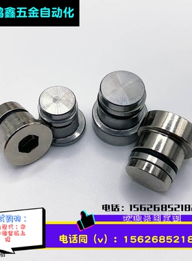 直线导轨定位销偏心销 LLT5 LLTS5 ICE11-T5不锈钢ICE12/11