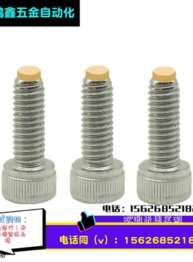 TDB16 内六角止动螺丝铜头螺栓型 CBCPS3/4/5/6/8-10/15/20/30/40