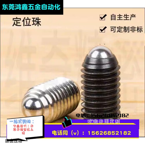 弹簧柱塞 定位柱 顶丝PJH 重荷弹簧定位销VCN516深圳厂家特惠促销