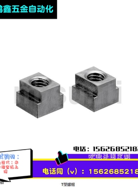 品质替米思米T型螺帽NTS3/NTS4/NTS5/NTS6/NTS8/NTS10/NTS12NTS16