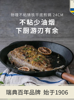 SKEPPSHULT斯肯特 铸铁厨房用不粘锅24cm平底煎锅核桃木手柄0240V
