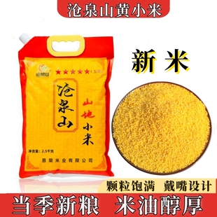 粮食 沧泉山黄小米粟谷子新米内蒙古小黄米五谷杂粮黄金谷1号5斤装