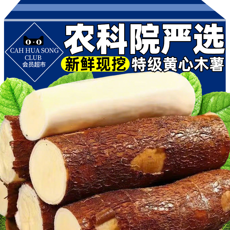 农科院严选黄心木薯广西特产新鲜现挖农家自种黄肉木薯粉糯糖水店