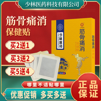 堂少林医药筋骨痛消膏药贴