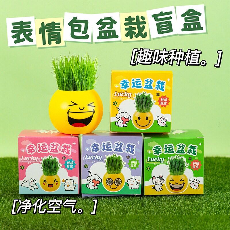 原创表情草头娃娃盆栽创意办公室迷你绿植室内桌面青草种植小礼物