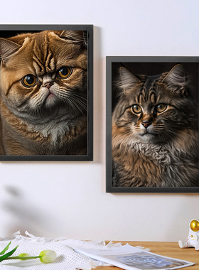 a4猫咪海报框画装饰画写实小猫瑜伽室宠物店竖版客厅走廊墙壁挂画