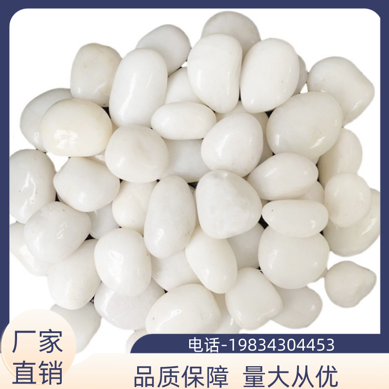 白色鹅卵石原石庭院铺地阳台鱼缸造景精品抛光天然大小石头福建