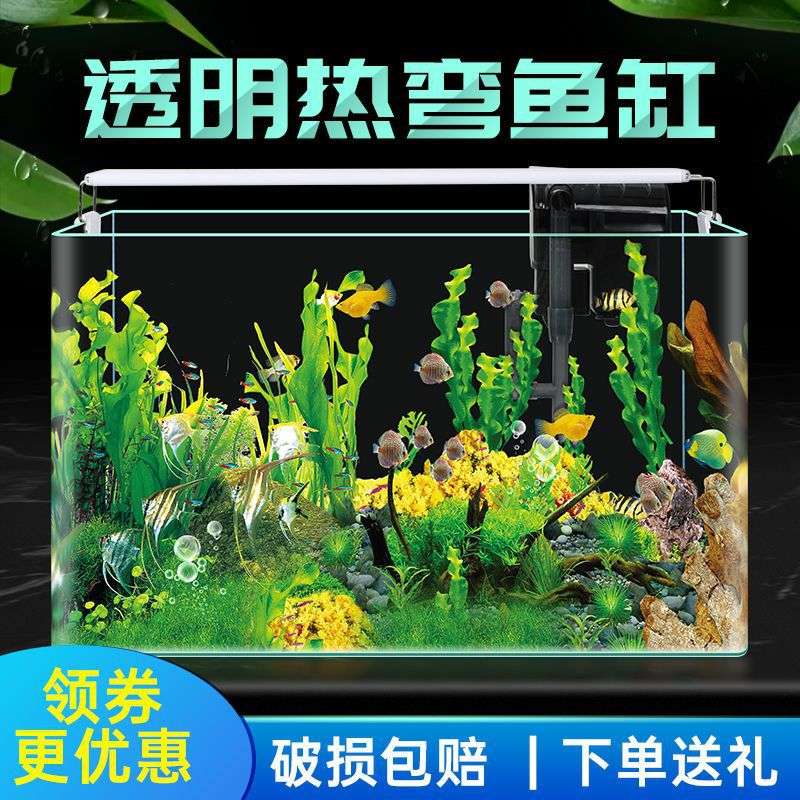蝾螈饲养缸六角恐龙专用缸的鱼缸美西螈生态缸自循环免换水娃娃鱼