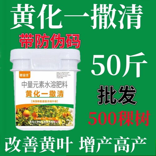 正品黄化一撒请厂家批发