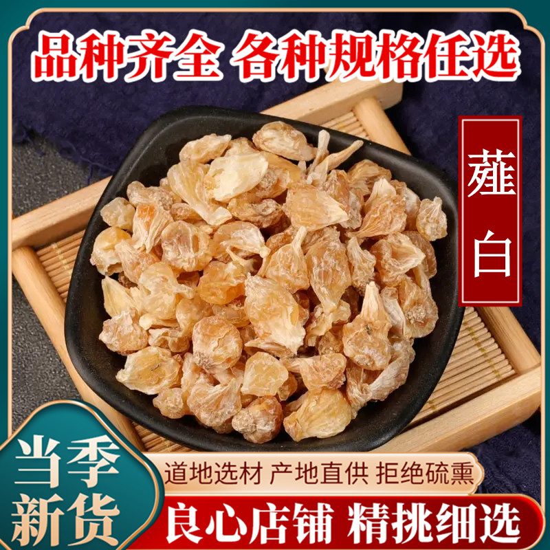 野生薤白中药材白头泻山蒜野蒜
