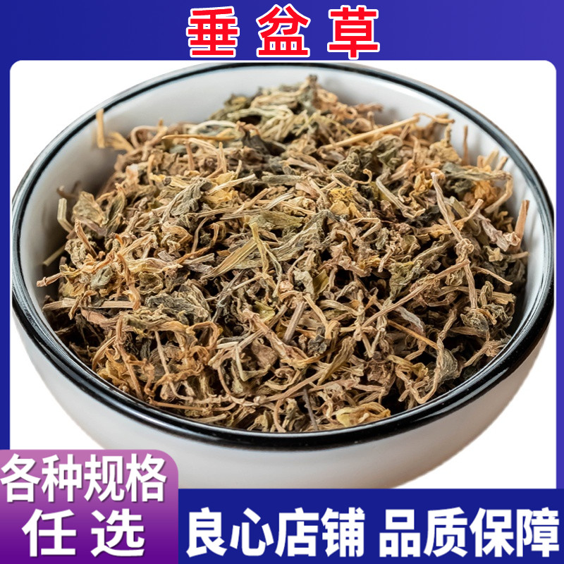 垂盆草中药材 野生垂盆草新货可食用垂盆草泡茶泡水 各种规格包邮